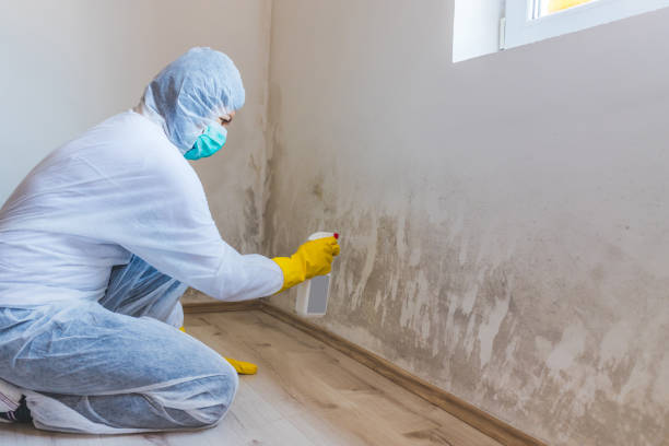 Crawl Space Mold Remediation treatment of floor joists in Hudson